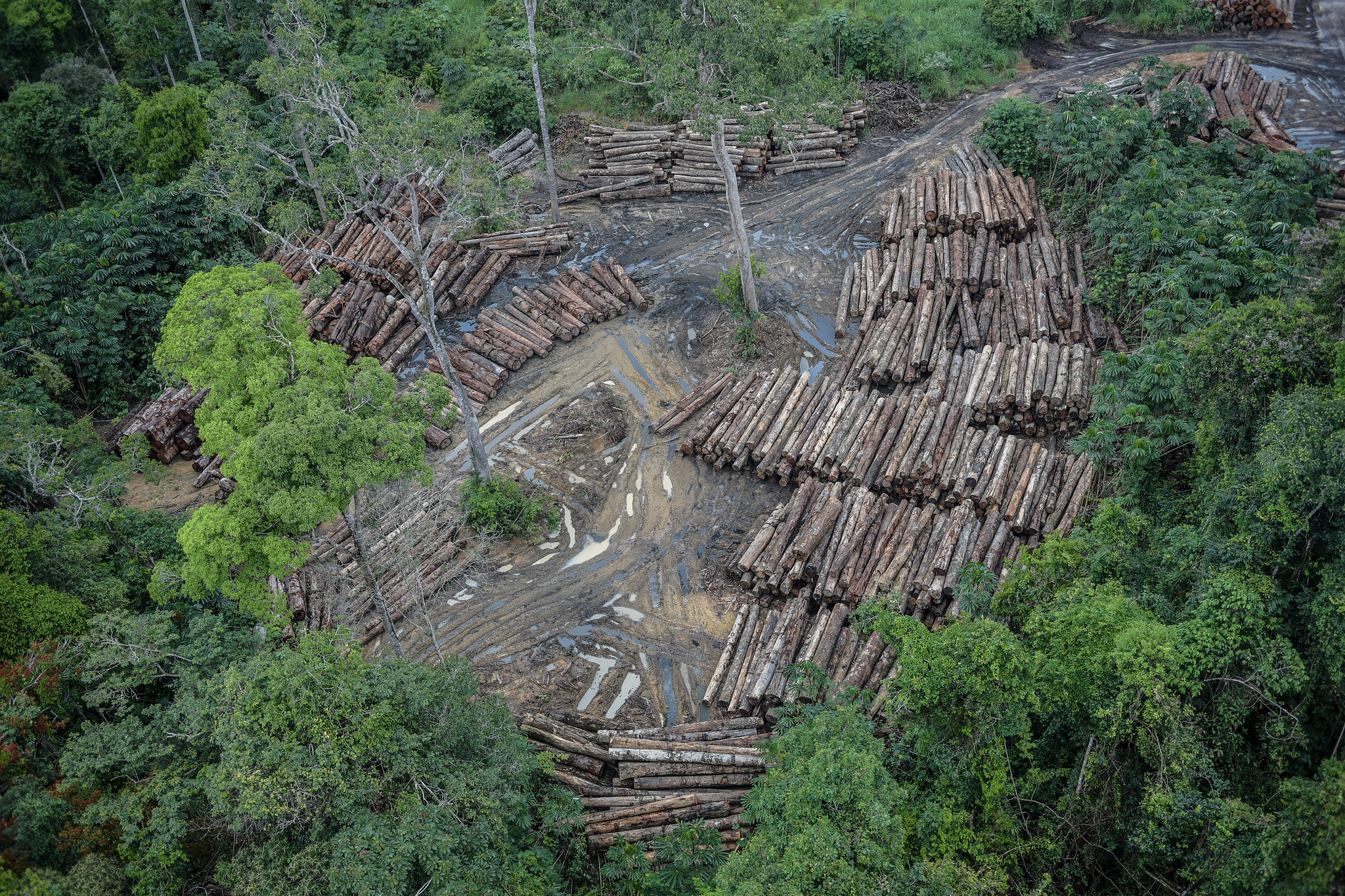 Deforestación en la Amazonía brasileña