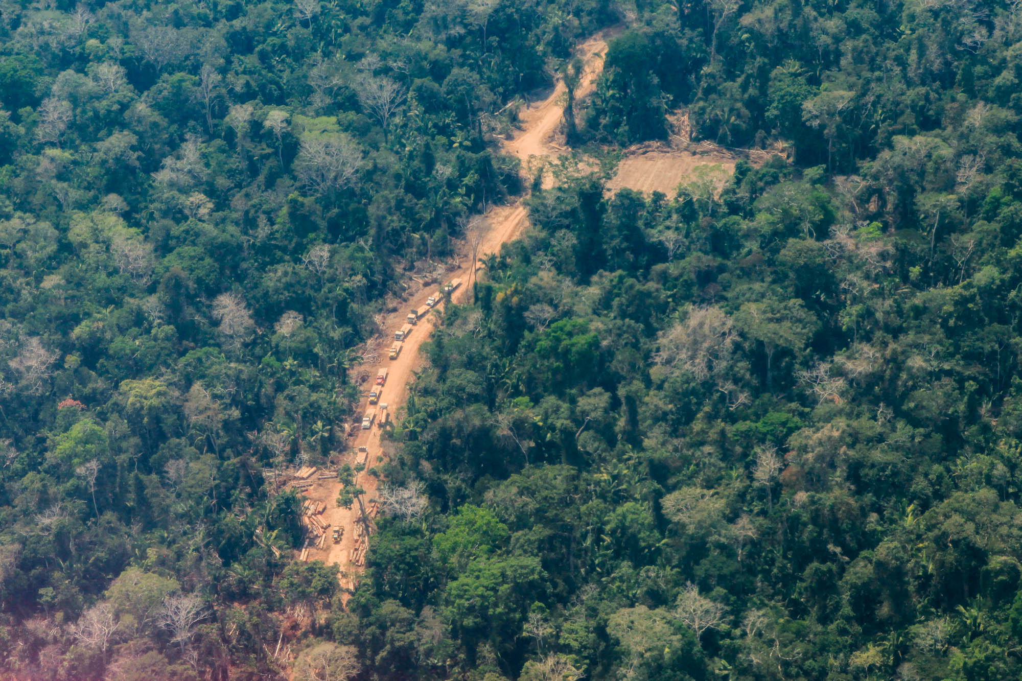 Traslado de madera en la selva en Perú.