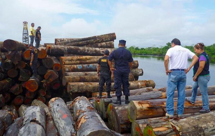 Incautación de madera peruana a bordo del barco Yacu Kallpa.