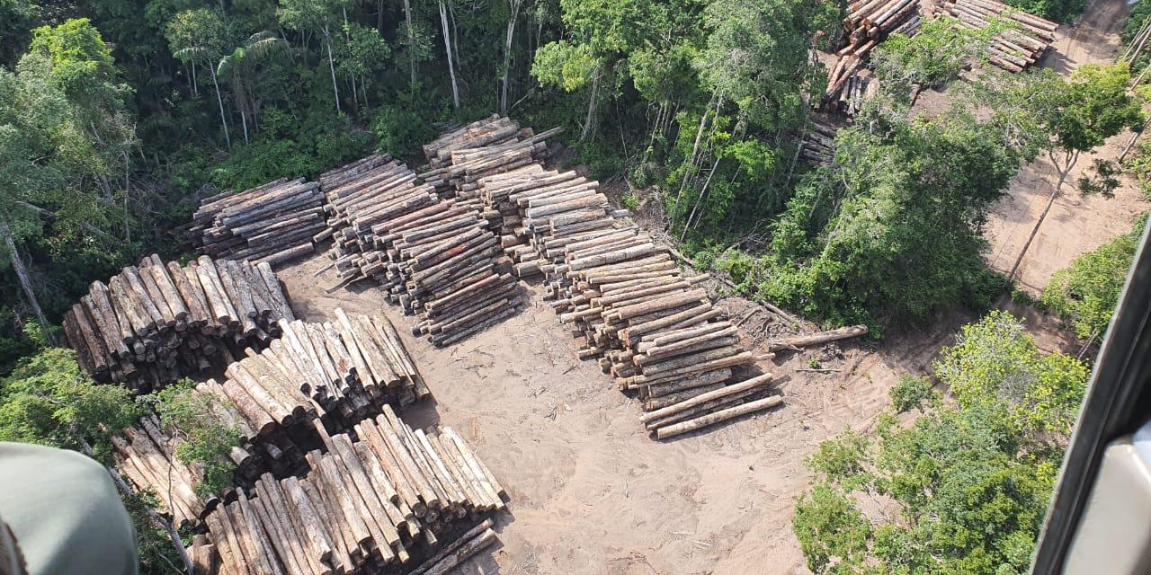 Tala de madera en la Amazonía brasileña