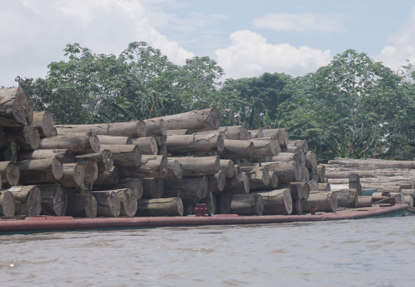 Madera peruana en el puerto de Pucallpa